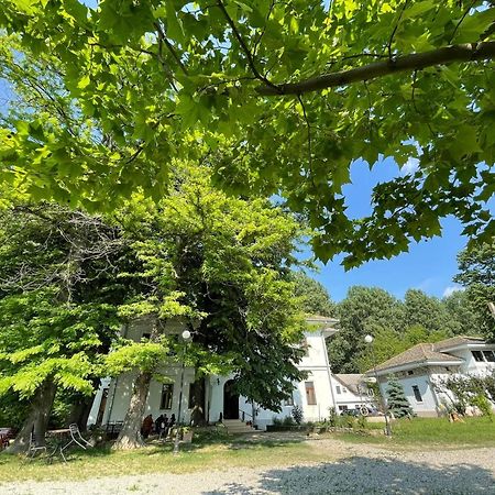 Casa Diamandi Konuk evi Salcia Dış mekan fotoğraf