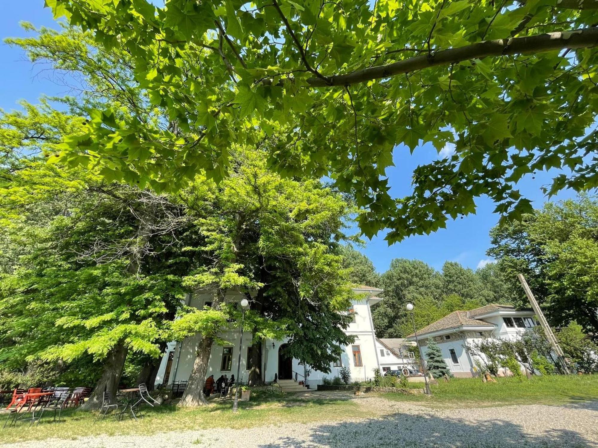 Casa Diamandi Konuk evi Salcia Dış mekan fotoğraf